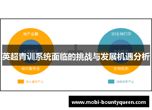 英超青训系统面临的挑战与发展机遇分析